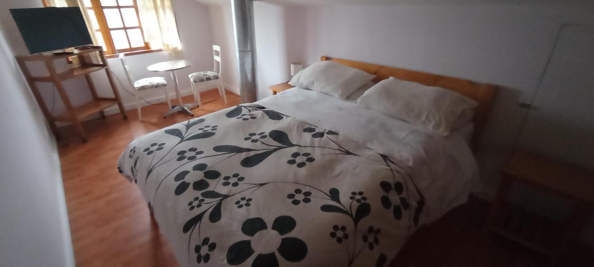 Omi Kika B&B Villarrica Exterior foto