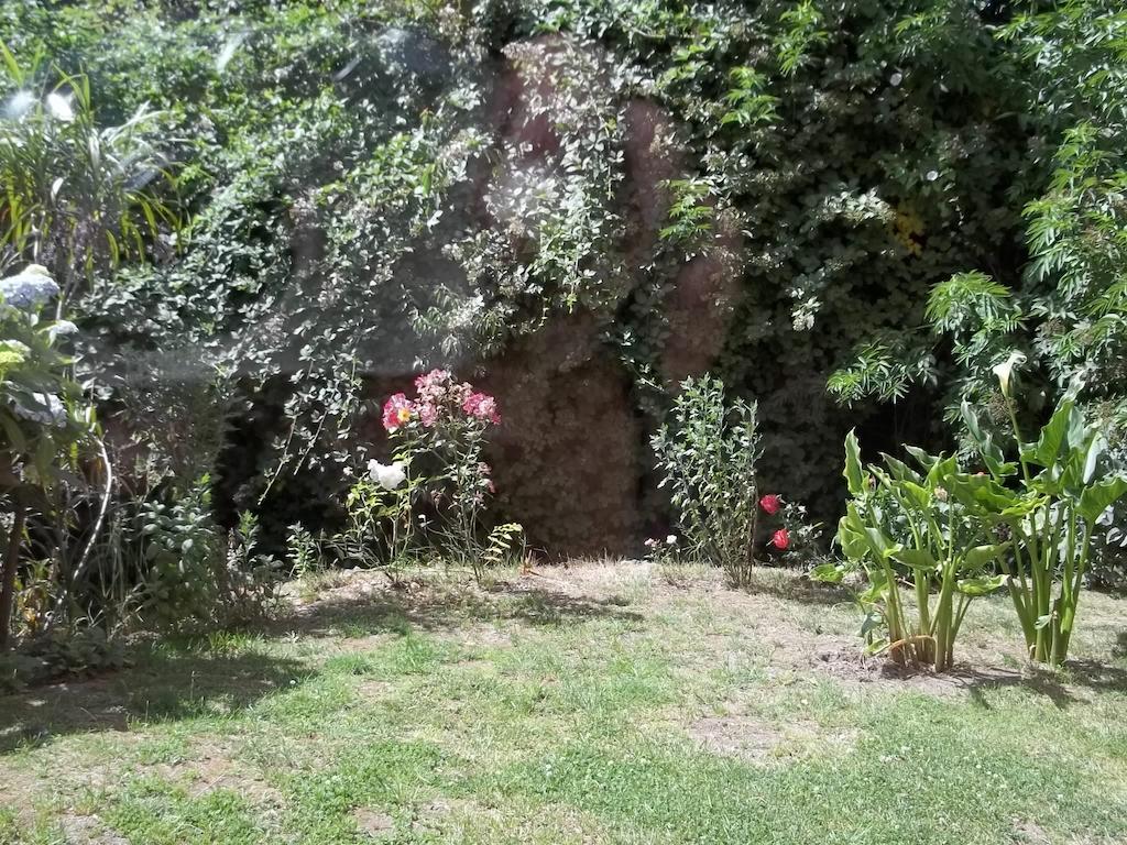 Omi Kika B&B Villarrica Habitación foto