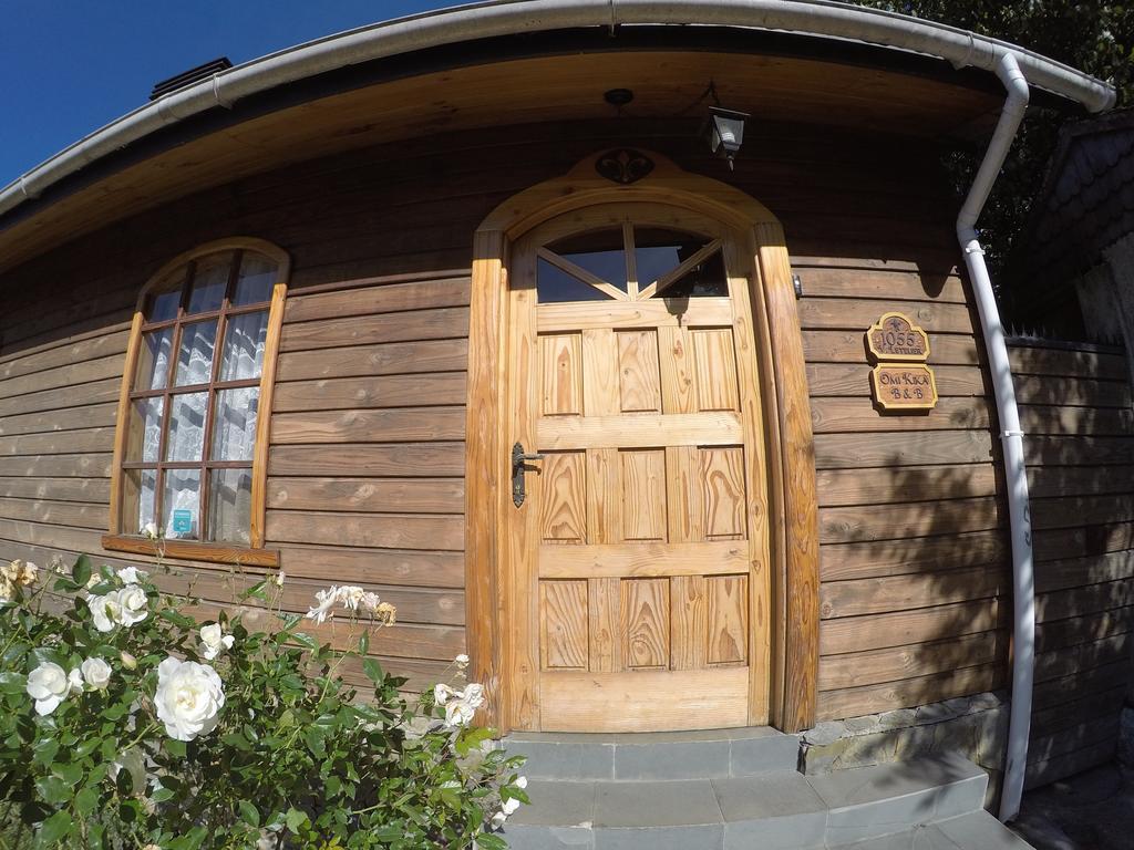 Omi Kika B&B Villarrica Exterior foto