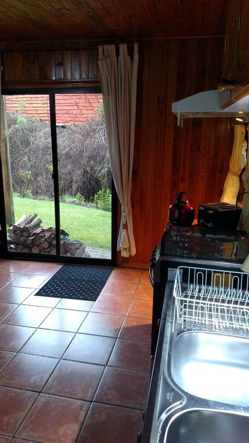 Omi Kika B&B Villarrica Exterior foto