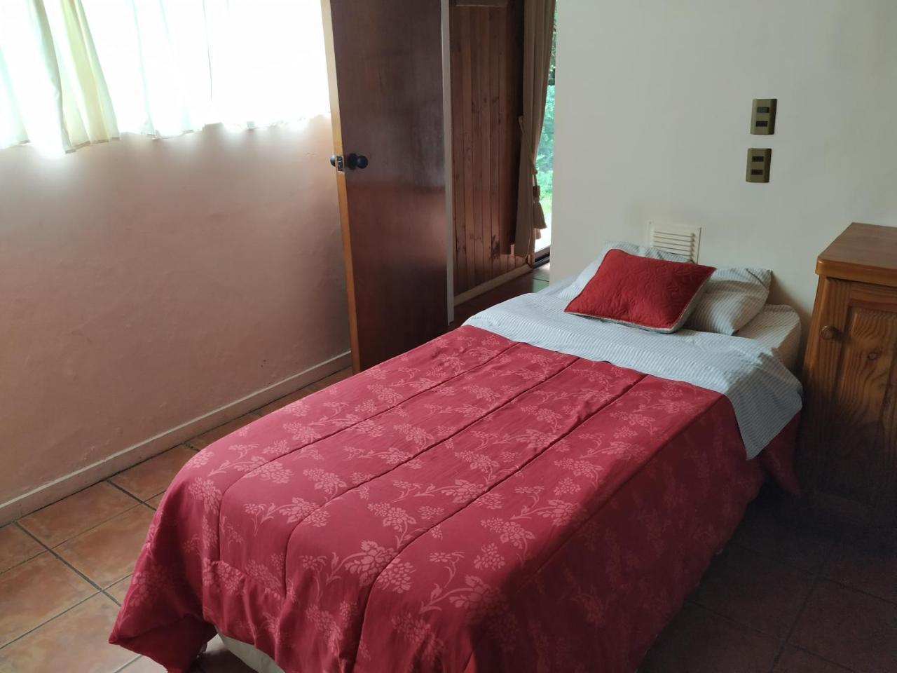 Omi Kika B&B Villarrica Exterior foto